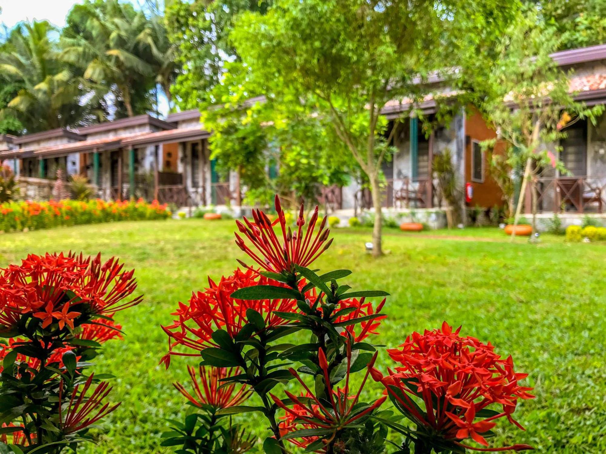 Villa Pinnawala Kültér fotó